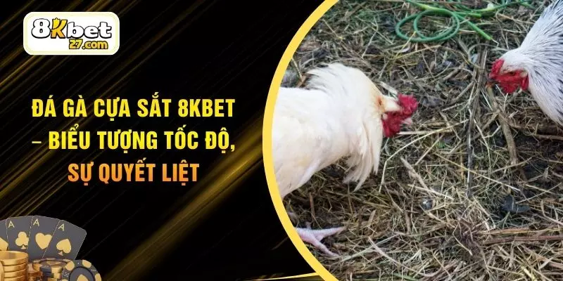 Đá Gà Cựa Sắt 8KBET – Biểu Tượng Tốc Độ, Sự Quyết Liệt