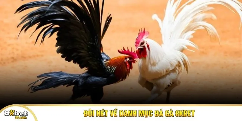Đôi nét về danh mục đá gà 8KBET